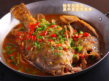 臭桂鱼