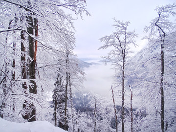 山林积雪 雾凇景色 冬季无框画