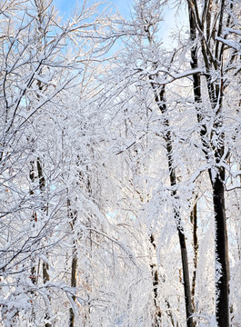 山林积雪 雾凇景色 冬季无框画