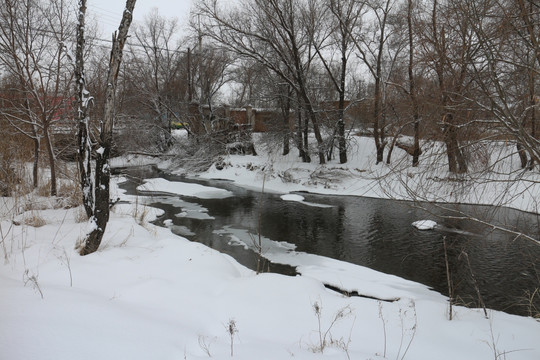 冬雪 树林 河流