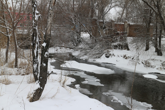 冬雪 树林 河流