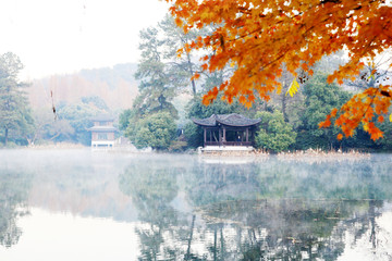 西湖曲院风荷景区