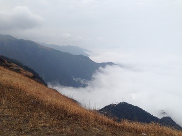 江西武功山云中高山草甸