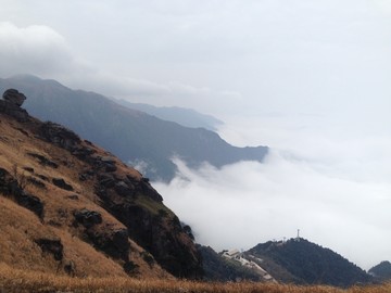 江西武功山云中高山草甸