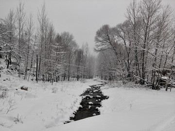 雪溪