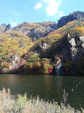 秋山枫叶