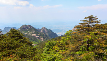 安徽黄山 黄山 山峰 山岳