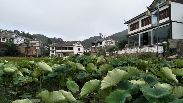 乡镇