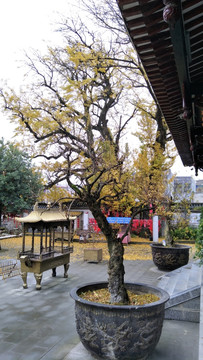 斗姆阁