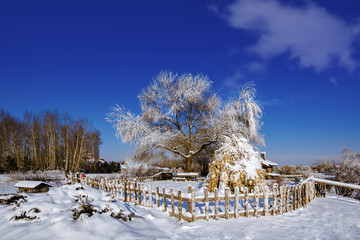 东北农家院雪景