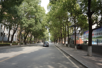 绿荫大道 贵州师范大学