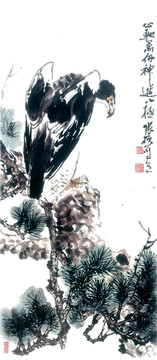 鹰