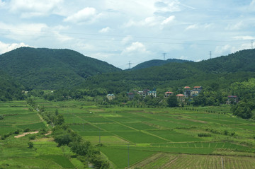 田地绿景