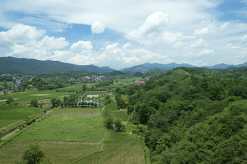 乡村绿景