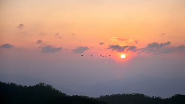 飞鸟 日落西山