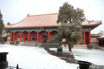故宫雪景 雪后的故宫