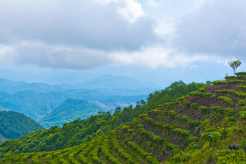 大山