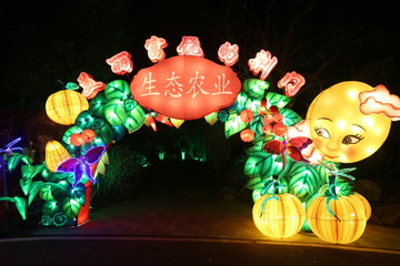 花灯生态农业