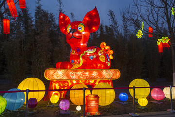 花灯 狗