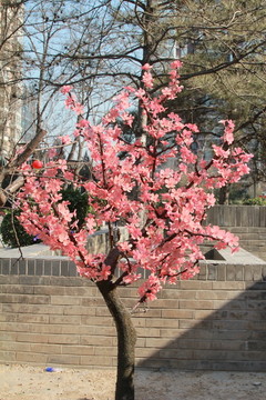 塑料梅花花树