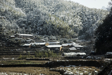 浦城雪景