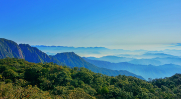 高山云雾