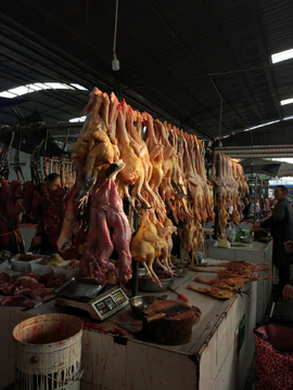 鸡肉