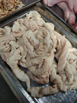肥肠