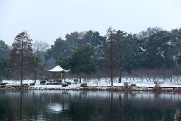 梅园雪景