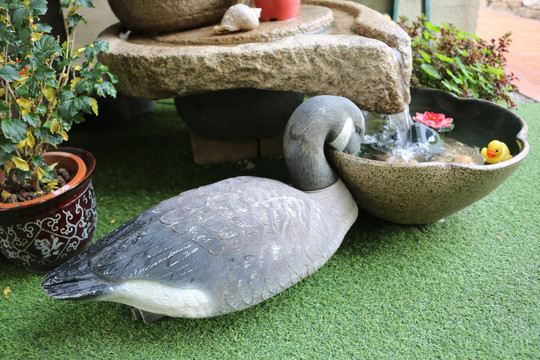 鸭子 喝水 雕塑