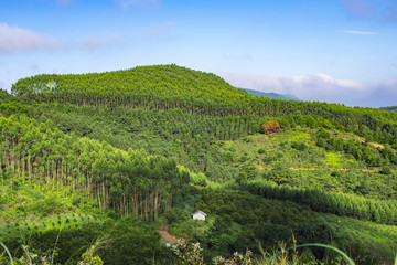 乡村风光