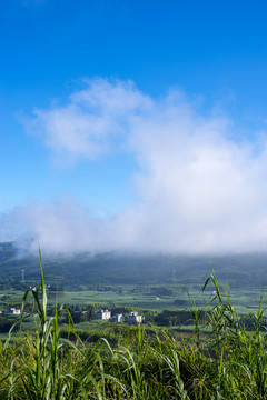 清晨风光