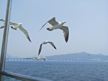 海欧