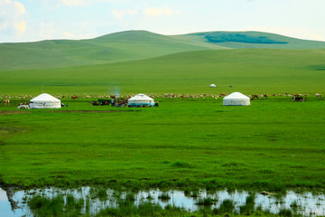 湿地草原蒙古包