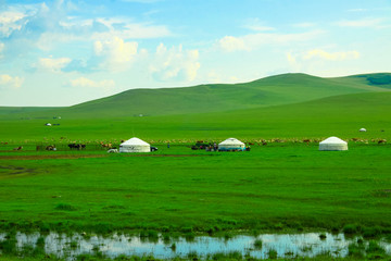 草原湿地蒙古包