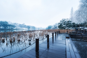 西湖雪景