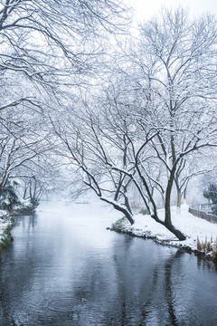 西湖雪景