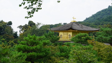 金阁寺