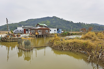 田园风光