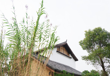 白墙壁民居