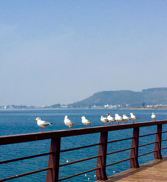 抚仙湖栈道