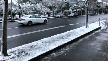 上海道路雪景