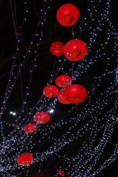 红灯笼 春节夜景