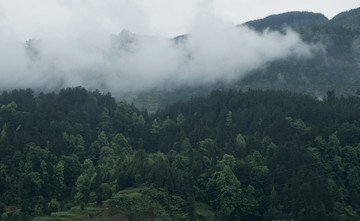 阴天山景色