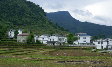 贵州农村