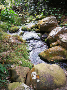 钦州八寨沟风光