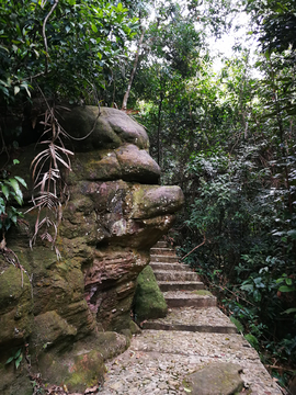钦州八寨沟 猪头石