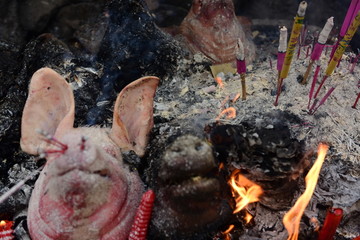 猪头祭拜