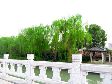 河边景观