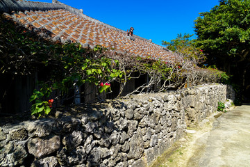 琉球文化村